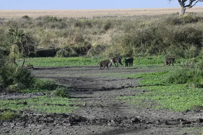 DSC_3804 (Large).JPG